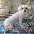 성북파출소 이미지