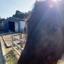 무성농장 | [상주 카페 추천] 청년 농부들이 만든 감성 농장 카페, 파머스룸