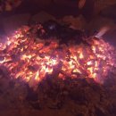 행정사태성사무소 이미지