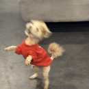 스테이 더 나잇 이미지