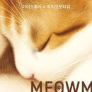 스튜디오 홍시 네이버블로그