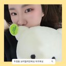 천안오성초등학교 | 천안 왁싱샵 추천 두정동 브라질리언왁싱 아키왁싱 솔직 후기