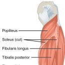 하늘벗한의원 이미지