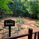 대운상대길 이미지