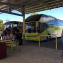 일로일로 이미지