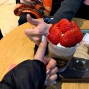 더커볶(The coboc) 이미지