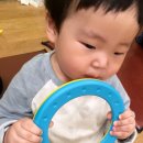 구구사
