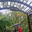 보덕주 | 점사 잘 보는 영검한점집 보덕당 - 가야산 용기골 기도