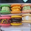 준치과기공소 이미지