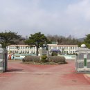 조성초등학교 이미지