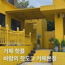 거제 핫도그 애견샵 | 거제 바람의 핫도그 거제본점 애견동반, 노랑버덩 후기