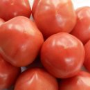 토마토 이미지