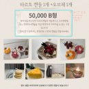샤인플랜트 네이버블로그