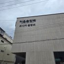 모니카 | w09. 본식 드레스 투어 후기(부산 모니카블랑쉬)