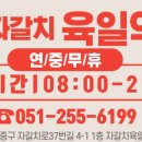자갈치육일약국 네이버블로그
