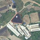안성면111 Daum카페