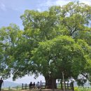 대산면915 이미지