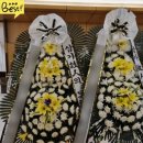 경상북도포항의료원 이미지