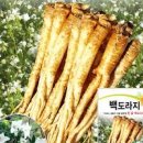 도라지 효능과 종류 어떤 게 있을까? 도라지와 궁합에 맞는 음식 먹는 법, 도라지 요리 이미지