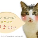 케이제이모바일 이미지