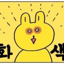 풍촌코다리네 이미지