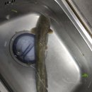 청용 낚시터 이미지