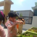 소야어린이집 이미지