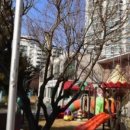 세린어린이집 이미지