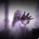 놀러와PC 2 이미지