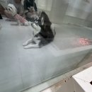 부산 서면 실내동물원 마리앤쥬 후기!!
