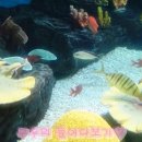 아쿠아플라넷 제주 이미지