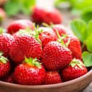 “딸기가 혈압 낮춘다?”…매일 먹던 과일에 이런 효능들이? 이미지