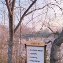 선진공원 주차장 이미지