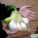 반송2동-17 이미지