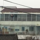 백세투어 이미지