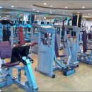 웰브릿지 스포츠 이미지