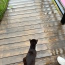 거제글램퍼스 이미지