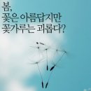 꽃은 아름답지만 꽃가루는 괴롭다? 봄철 알레르기의 주범, 꽃가루! / 봄철 알레르기 증상 / 꽃가루 알러지 / 알레르기성 비염 / 봄철 아토피피부염 / 이미지