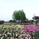 곡성-147 이미지