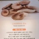 등촌샤브칼국수양재매헌점 이미지