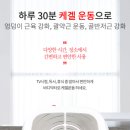 바디닥터짐 이미지