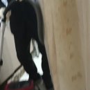 금가 오토바이 이미지