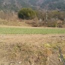 멘토링공인중개사사무소 이미지