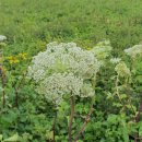 어울림 공인 행정사 사무소 이미지