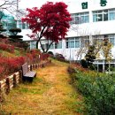가창중학교 Daum카페