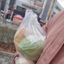 대백마트네오시티점