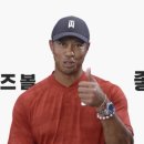 백마스크린실내골프연습장 이미지