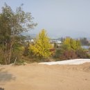 강남로(남) 이미지