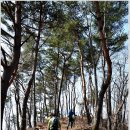 깊이울주유소 | 왕방산(2013.03.24)