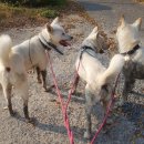 주동초등학교 이미지